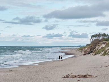 Из Зеленоградска по загадочным тропам Косы – групповая экскурсия