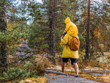 Гран-тур Вся Карелия и Валаам на аэролодке – групповая экскурсия