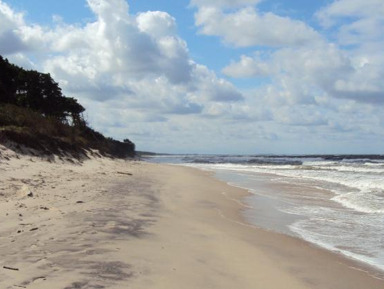 «Удивительная Куршская коса» — авторский тур из Зеленоградска – индивидуальная экскурсия