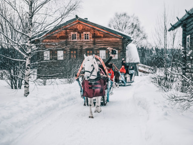 Волшебная деревня Мандроги: путешествие к вепсам – индивидуальная экскурсия