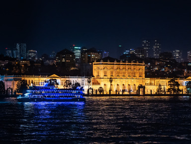 Турецкая ночь: круиз по Босфору на теплоходе с шоу-программой – групповая экскурсия