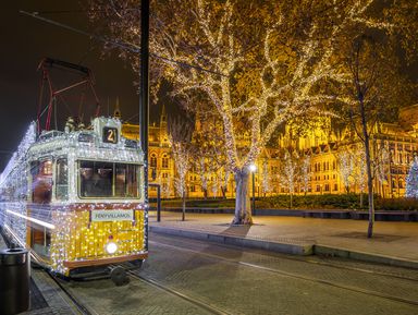 Рождественский Будапешт – индивидуальная экскурсия