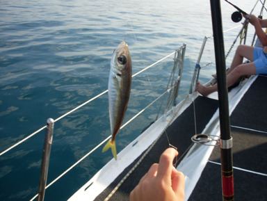 Черноморская рыбалка и дегустация улова (порт Имеретинский) – групповая экскурсия