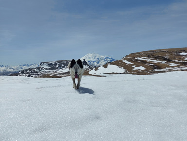 Бермамыт в сопровождении якутской красотки  – индивидуальная экскурсия