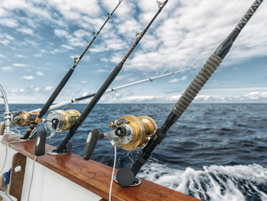 Групповая морская рыбалка в Адлере с приготовлением улова