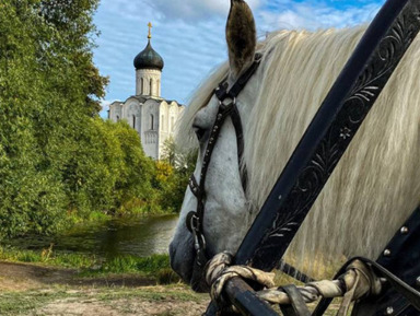 Из Владимира в Боголюбово — шедевры архитектуры – индивидуальная экскурсия