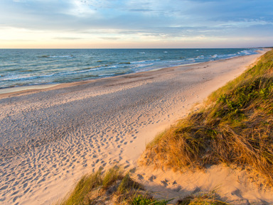 Знакомство с Куршской косой — тур из Зеленоградска – групповая экскурсия