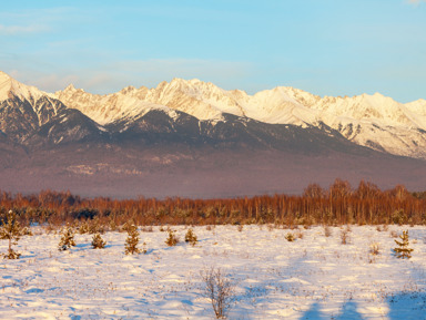 Манящая красота и чарующие виды, загадочной Тункинской долины (п.Аршан) – индивидуальная экскурсия