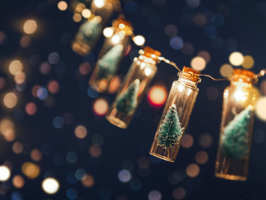 Новый год на яхте в Адлере – групповая экскурсия