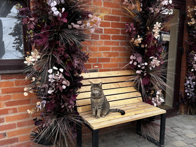 Квест-экскурсия «Найди самый старый дом Кранца»