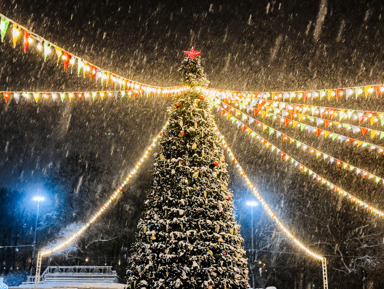Средневековая сказка в новогоднем Выборге – групповая экскурсия