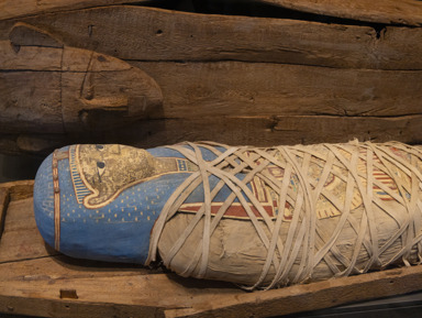 От сокровищ музея к тайнам пирамид: история Древнего Египта – индивидуальная экскурсия