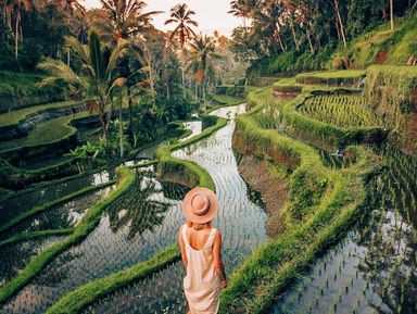 Живописный Бали для лучших кадров в ваши соцсети! – индивидуальная экскурсия