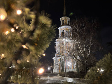 Рязань новогодняя: обзорная пешеходная экскурсия