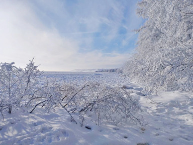 Куршская коса. Природа и история – индивидуальная экскурсия