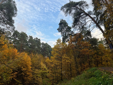 Звенигород: обширная обзорная экскурсия по городу с вековой историей  "Звени!Город"