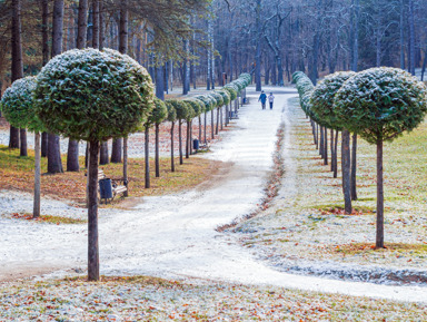 Прогулка по вечернему Кисловодску: дегустация нарзана и шоу фонтанов – групповая экскурсия