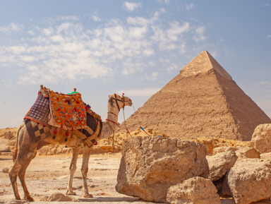 Комплекс пирамид в Гизе, Большой Сфинкс и верблюды – групповая экскурсия