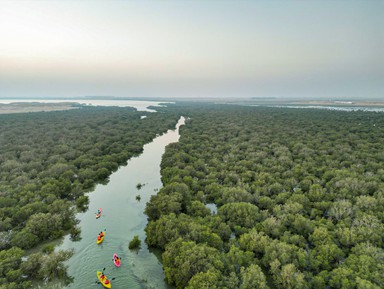 В мангровые леса Катара на каяках – групповая экскурсия