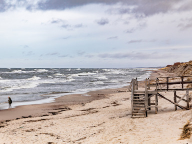 Экскурсия на Куршскую косу и сыроварню «Шаакен Дорф» (из Зеленоградска)