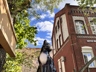 Черняховск: немецкая архитектура, кото-квест и сердце героя – индивидуальная экскурсия