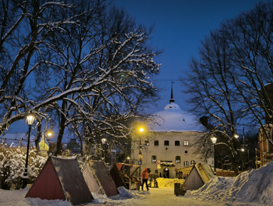 Рождественский город W – индивидуальная экскурсия
