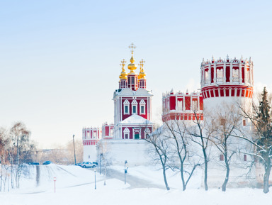 Новодевичий монастырь и Новодевичье кладбище – групповая экскурсия