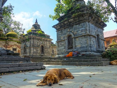 Влюбиться в Катманду за один день! – индивидуальная экскурсия