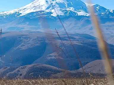 Горный вояж: суслики Джилы-Су в Приэльбрусье – индивидуальная экскурсия