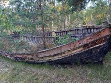 Куршская коса — история, природа, ландшафты – индивидуальная экскурсия