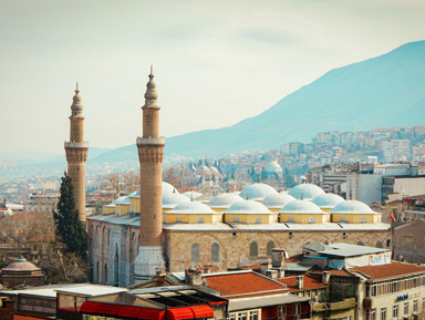 Из Стамбула в Бурсу на Mercedes Vito – индивидуальная экскурсия