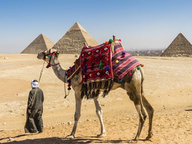 Каир — город чудес – индивидуальная экскурсия