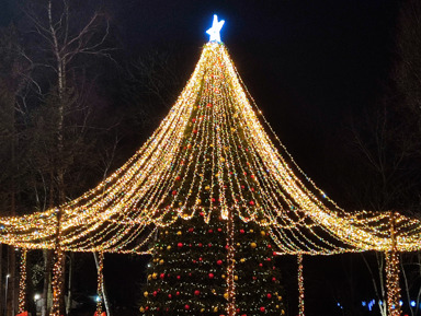 Знакомство с городом у моря – индивидуальная экскурсия