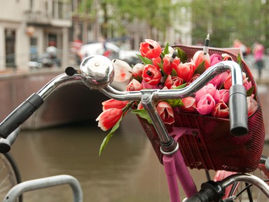 Амстердам с нуля – индивидуальная экскурсия