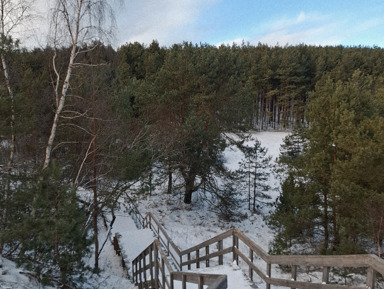 Балтика: Куршская коса, город котов Зеленоградск и сыроварня «Шаакен Дорф» – индивидуальная экскурсия