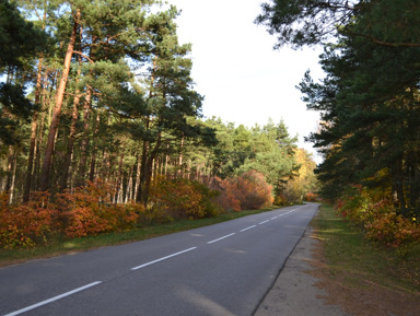 Индивидуальная экскурсия по Куршской косе