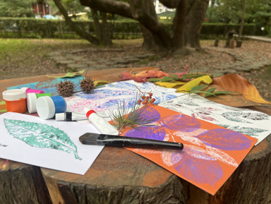 Экскурс по парку Ривьера и мастер-класс по монотипии южных растений в Сочи – индивидуальная экскурсия