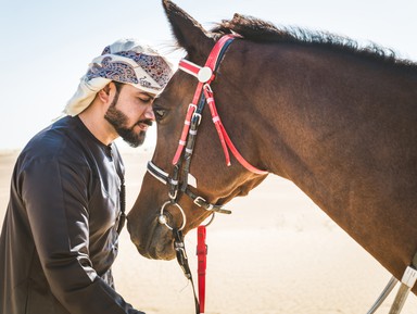 Конная прогулка по пустыне в Дубае – индивидуальная экскурсия
