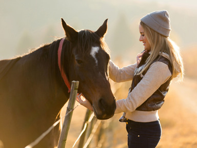 Конные прогулки по Национальному парку – групповая экскурсия