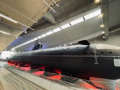 Музей Военно-морской славы и Остров Фортов в Кронштадте  – индивидуальная экскурсия