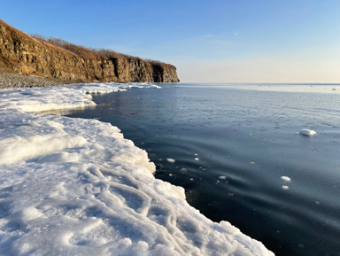 Обзорная экскурсия по острову Русский