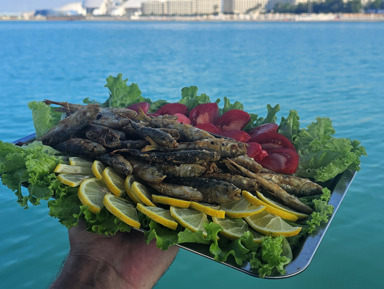 Морская рыбалка на катере, тримаране, катамаране (порт Сочи) – групповая экскурсия