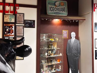 Экскурсия-квест с гидом «Тайны мороженого»