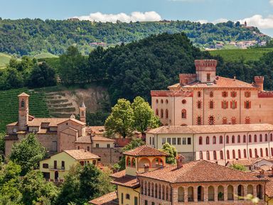 Из Турина в Бароло, на родину великого вина – индивидуальная экскурсия