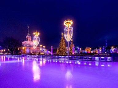 Зимние чудеса ВДНХ для взрослых и детей: групповая прогулка с гидом