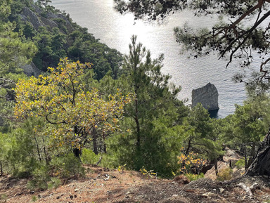 Пеший поход из Джанхота к скале Парус – индивидуальная экскурсия