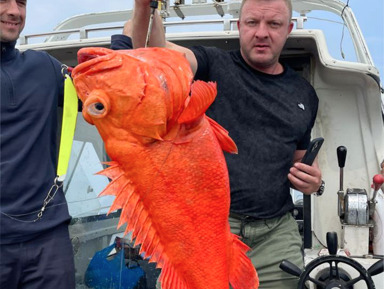 Морская и глубоководная «Трофейная» рыбалка, крабовое сафари в Тихом океане – индивидуальная экскурсия