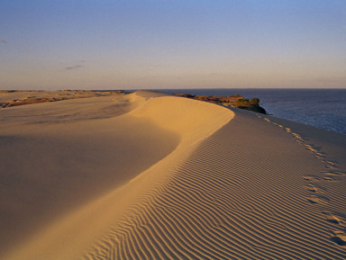 Долгая дорога в дюны (Пн, ср, пт, сб 11:00) – групповая экскурсия