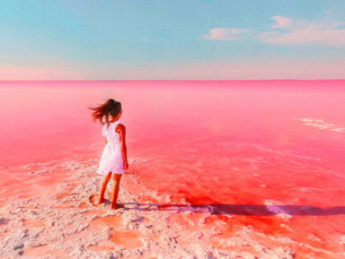 «День контрастов: розовое озеро, земной Марс и рыбный обед» – индивидуальная экскурсия