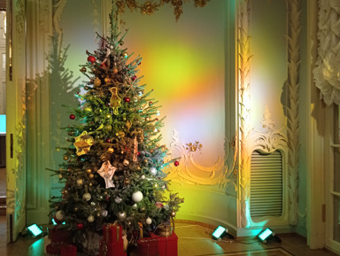 Новый год и Рождество в Эрмитаже – индивидуальная экскурсия